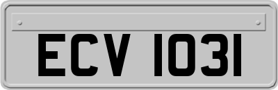 ECV1031