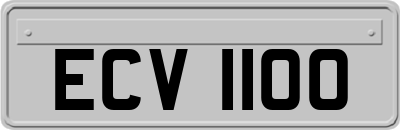 ECV1100