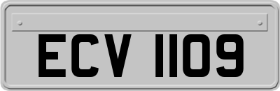 ECV1109
