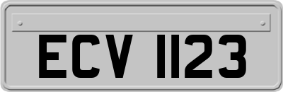 ECV1123