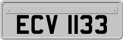 ECV1133