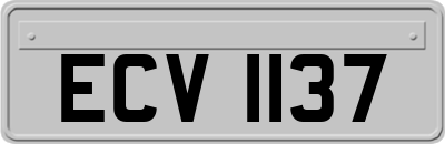 ECV1137