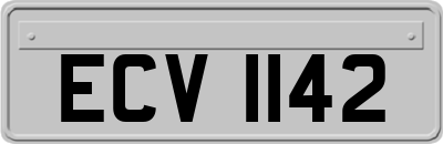 ECV1142