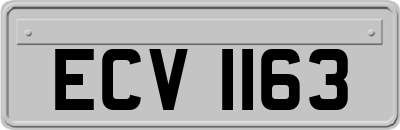 ECV1163