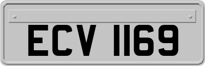 ECV1169
