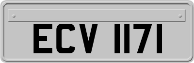 ECV1171