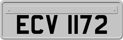 ECV1172