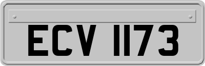 ECV1173