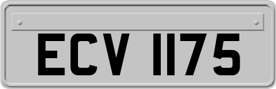 ECV1175