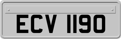 ECV1190