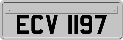 ECV1197