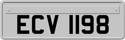 ECV1198