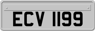 ECV1199