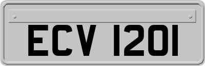 ECV1201