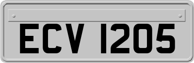 ECV1205