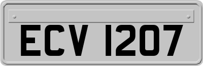 ECV1207