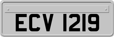 ECV1219