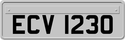 ECV1230