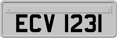 ECV1231