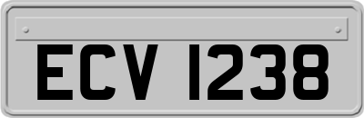 ECV1238