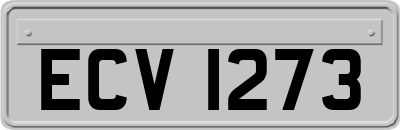 ECV1273