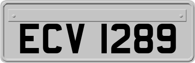 ECV1289