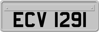 ECV1291