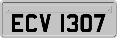 ECV1307