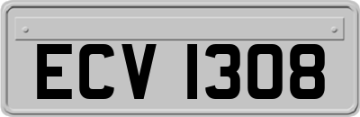 ECV1308