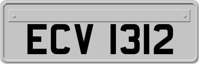 ECV1312