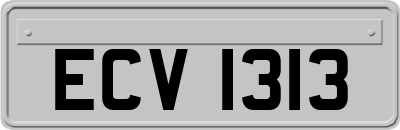 ECV1313