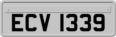 ECV1339