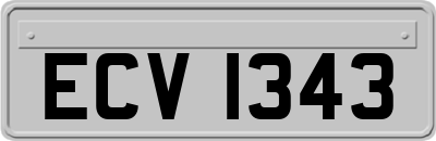 ECV1343