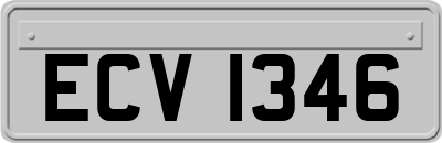 ECV1346