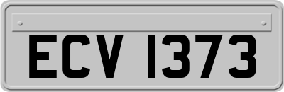 ECV1373