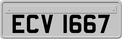ECV1667
