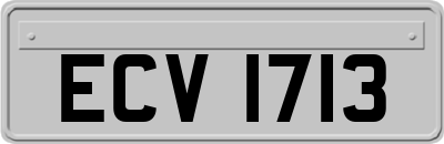 ECV1713