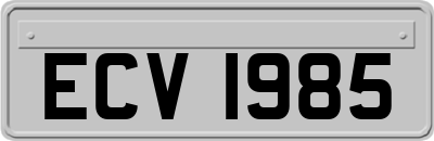 ECV1985
