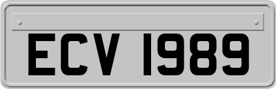ECV1989