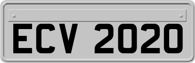 ECV2020