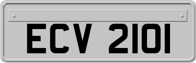 ECV2101