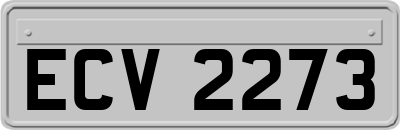 ECV2273