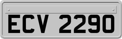 ECV2290