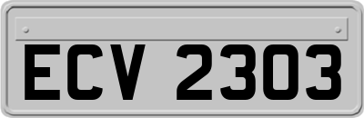 ECV2303