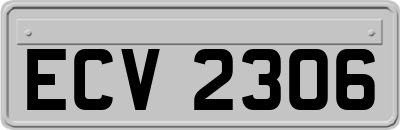 ECV2306