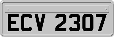 ECV2307