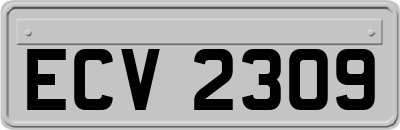 ECV2309