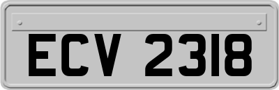 ECV2318