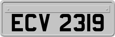 ECV2319