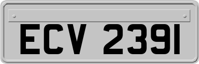 ECV2391